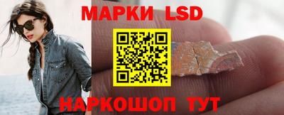 Альфа ПВП Моздок