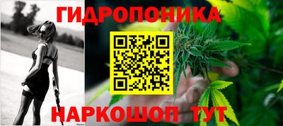 дмт Можга