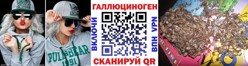 Псилоцибиновые грибы Psilocybine cubensis купить закладку Южно-Сахалинск