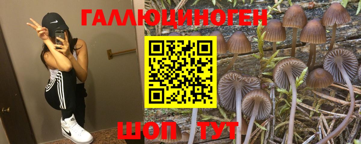 Псилоцибиновые грибы Magic Shrooms Южно-Сахалинск