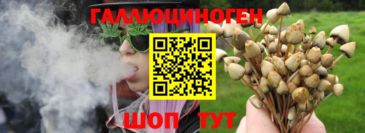 Галлюциногенные грибы прущие грибы  Галлюциногенные грибы Magic Shrooms  Вход с VPN  Южно-Сахалинск 